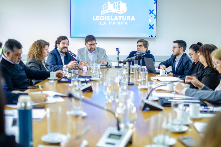 El Juicio por Jurados como “democracia más plena”: la visión de la UNLPam en la Legislatura Pampeana