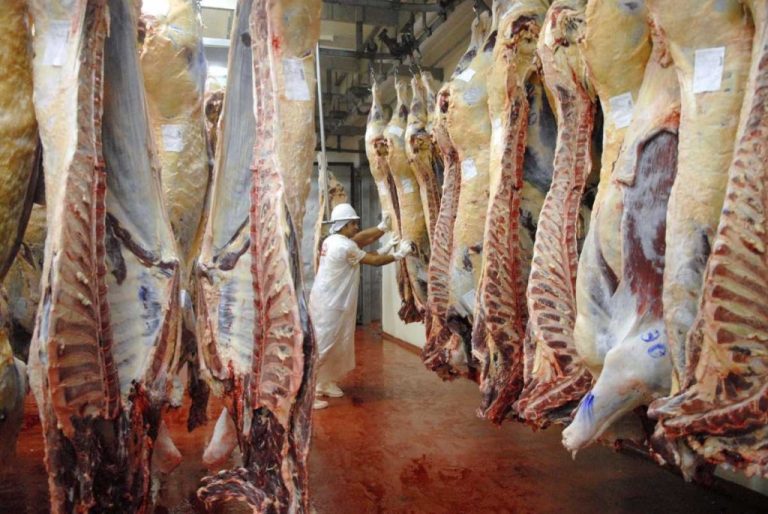 El Gobierno también eliminará las retenciones para la carne avícola y bovina