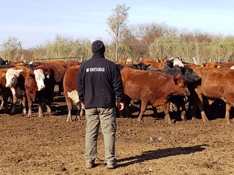 La Pampa: Se fortalece vigilancia de enfermedades de notificación obligatoria