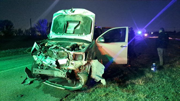 Una camioneta impactó contra una vaca en la Ruta Provincial N° 2 cerca de Intendente Alvear