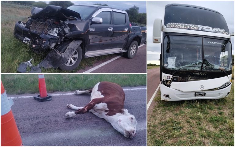 Milagro en la madrugada: un colectivo con 47 estudiantes pampeanos y una camioneta chocaron un animal suelto en la Ruta 13