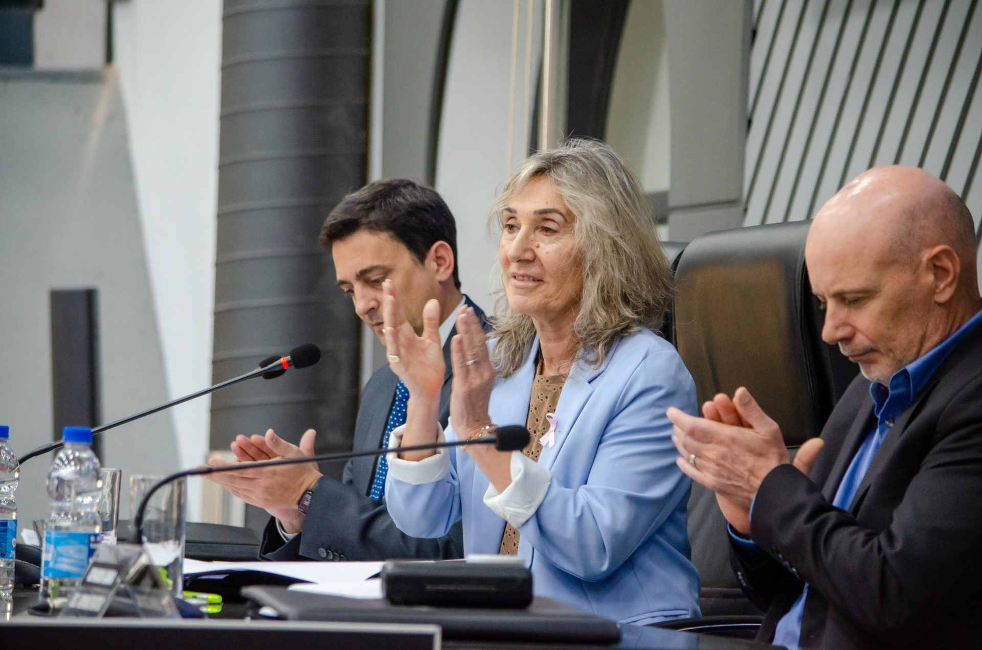 Amplio reconocimiento de la Legislatura a deportistas, artistas y proyectos culturales de La Pampa