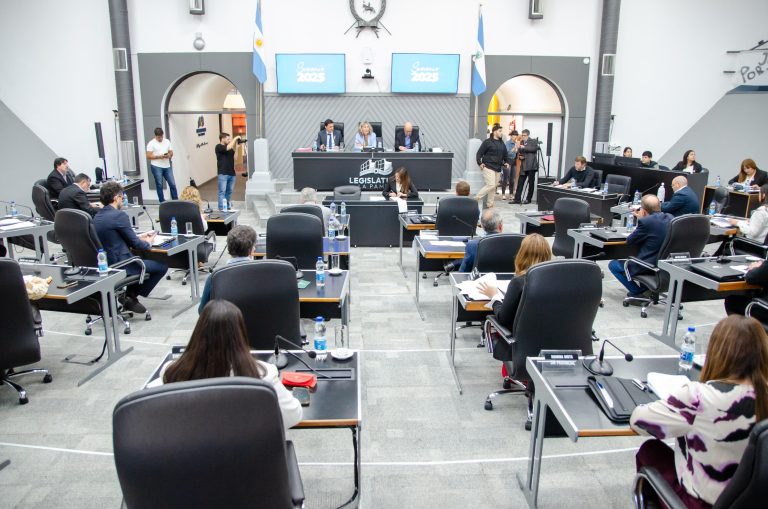 Aprueban ley clave para la detección temprana de neurodivergencias en la libreta sanitaria pampeana
