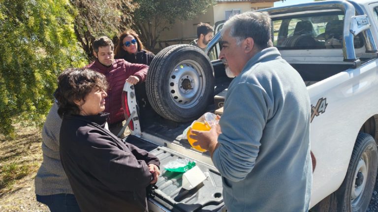 Nuevo protocolo para el monitoreo de plagas en uva para vinificar en La Pampa