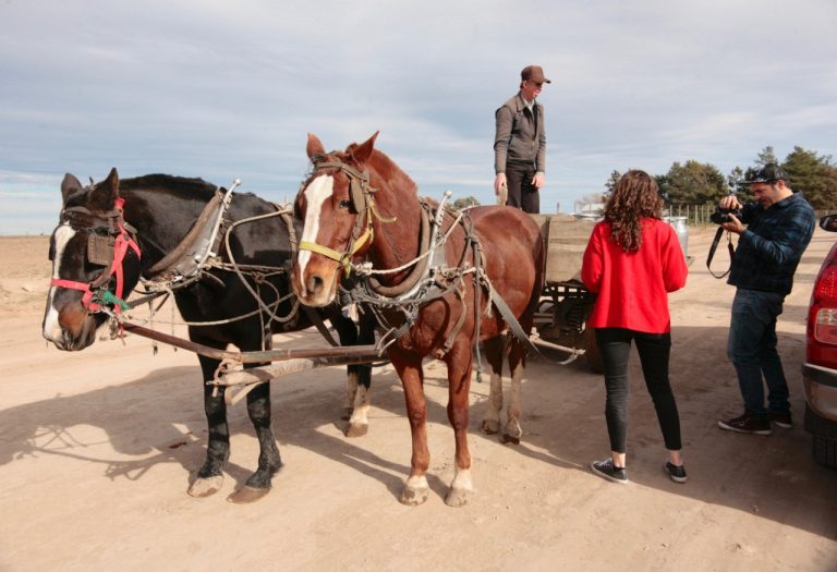 Colonia Menonita “La Nueva Esperanza”: Un viaje a la tradición en La Pampa