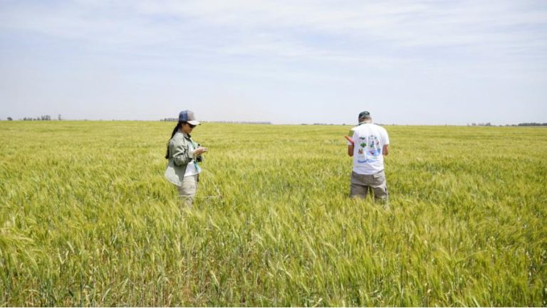 Agrotour evalúa impacto de heladas en cultivos de invierno en Buenos Aires y La Pampa