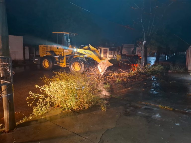 Temporal en General Pico: el municipio despliega un operativo para remover árboles y ramas caídas