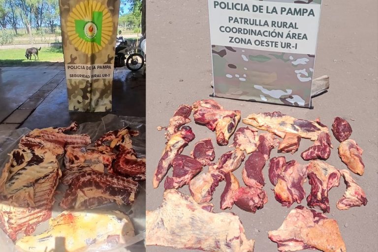 Desarticulan una faena clandestina y secuestran carne vacuna tras un operativo en el cruce de las rutas 10 y 11