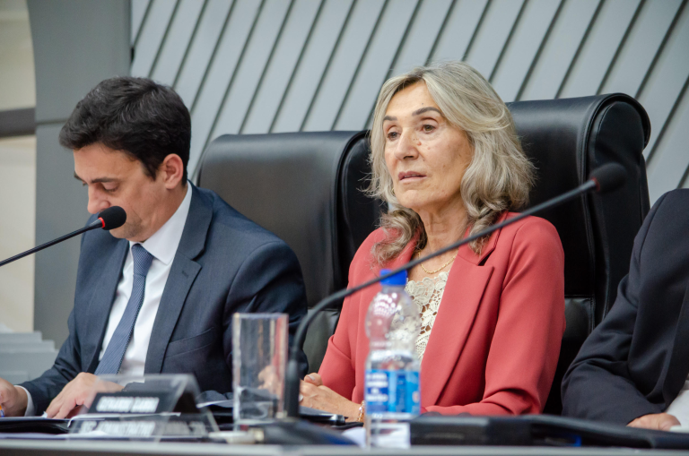 La Legislatura aprobó el pase a planta de personal contratado y autorizó al Ejecutivo a reestructurar el presupuesto