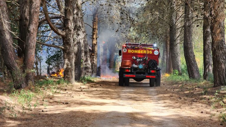 Llamas de hasta 5 metros de altura: intensa labor de Bomberos para controlar un incendio de pastizales y árboles