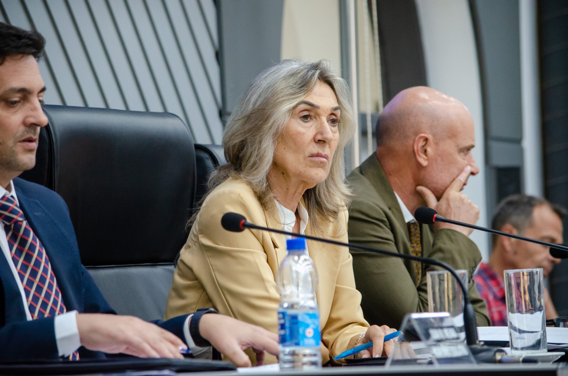 Alicia Mayoral queda a cargo del Poder Ejecutivo ante la ausencia de Ziliotto