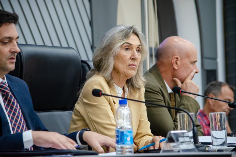 Alicia Mayoral queda a cargo del Poder Ejecutivo ante la ausencia de Ziliotto