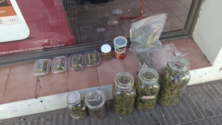 Aspirantes a agentes de policía incautaron marihuana durante un patrullaje