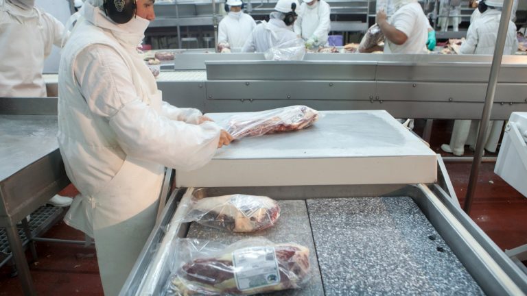 Capacitación clave en General Pico: SENASA y Aduana coordinan acciones para agilizar la exportación de agroalimentos