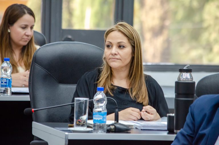 El Medanito: Una diputada de la UCR exige el informe ambiental antes de avanzar en la licitación