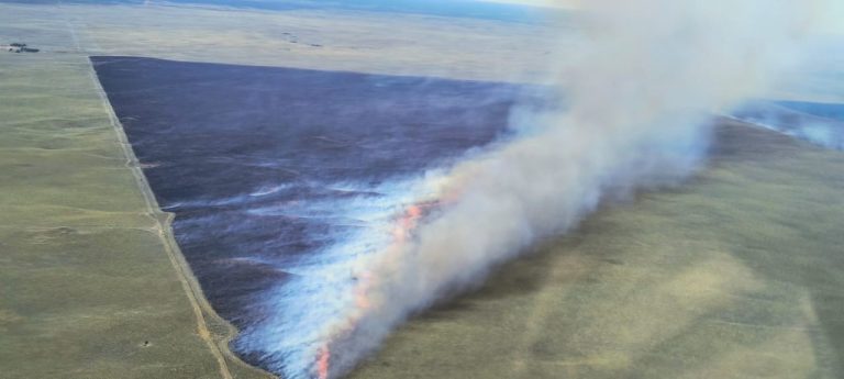 Incendios rurales en La Pampa: combatieron focos en cinco departamentos y pide extremar la prevención