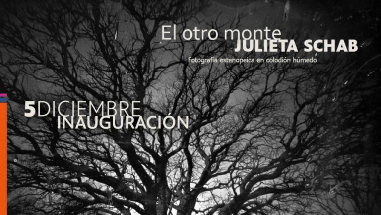 Julieta Schab presenta “El Otro Monte”: Una reflexión visual sobre la llanura pampeana