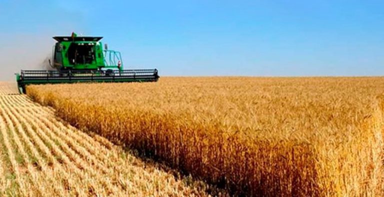 El Gobierno anuncia una rebaja en los derechos de exportación para cereales