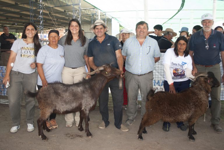 La Fiesta Provincial del Chivito en Santa Isabel premió a los mejores productores caprinos