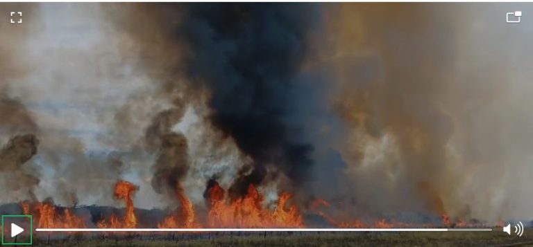 Combate contra el fuego: Lograron controlar el incendio entre Conhelo y Rucanelo