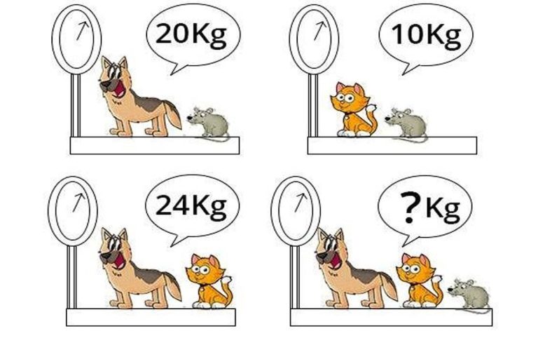 Reto del día: calcula el peso total de tres animales en solo 10 segundos