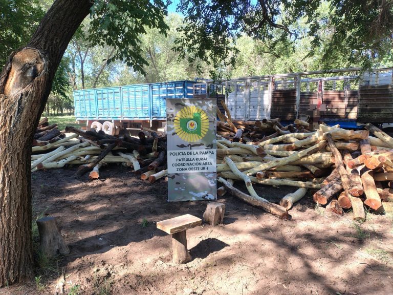 Victorica: la Patrulla Rural secuestró una carga de 400 postes transportados sin documentación