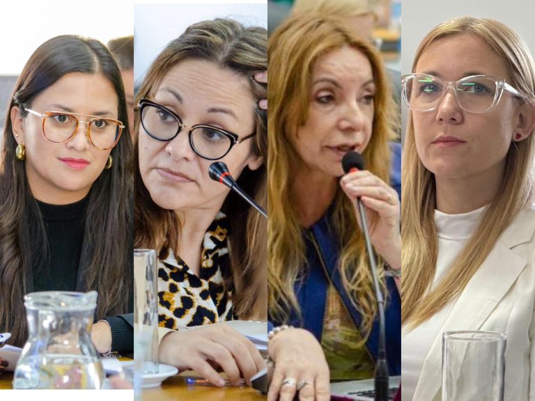 Diputadas exigen la renuncia del subsecretario de Salud Mental tras una muerte en el hospital Molas