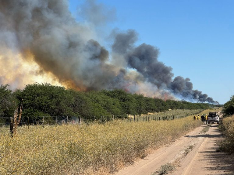 Incendios: confirman que el foco en el cruce de las rutas 28 y 1 está controlado