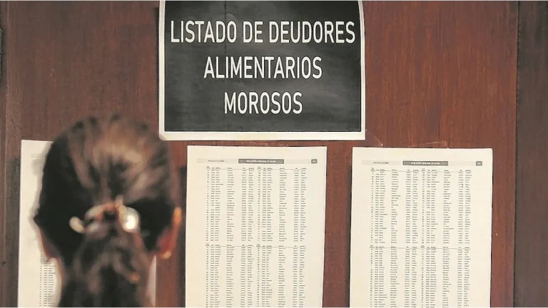 Registro de Deudores Alimentarios en La Pampa: el 99% de los inscriptos son hombres