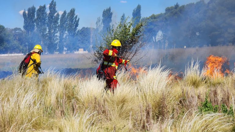Bomberos controlan un incendio de pastizales que amenazaba a quintas en la zona de Cargill
