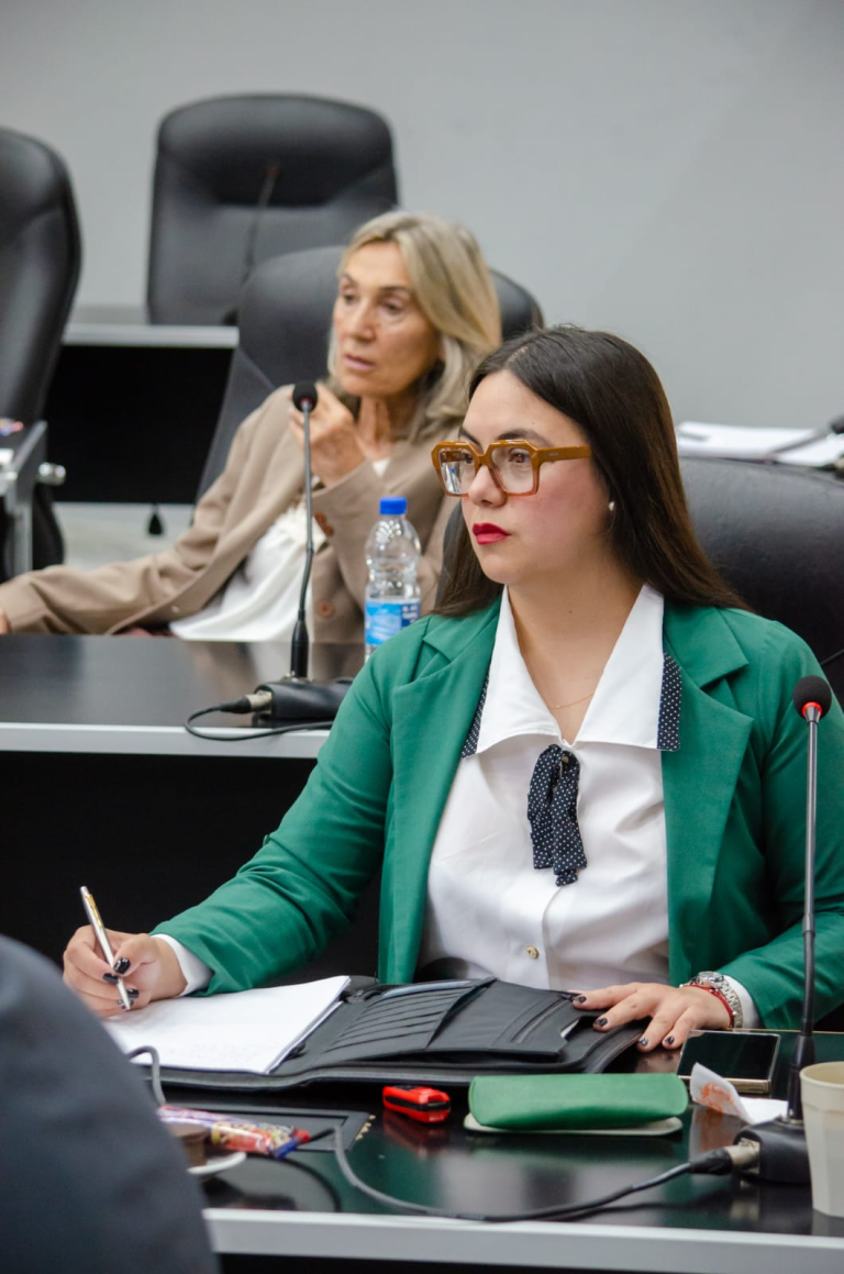 Diputada Noelia Sosa rechaza el plan para Medanito por “lesionar gravemente los intereses de todos los pampeanos”