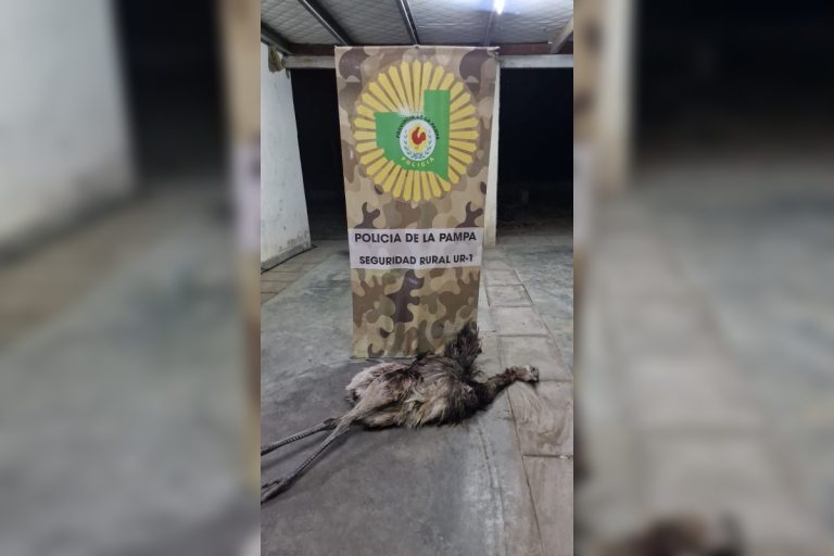 Seguridad Rural demoró a tres personas por cazar un ñandú cerca de Santa Rosa