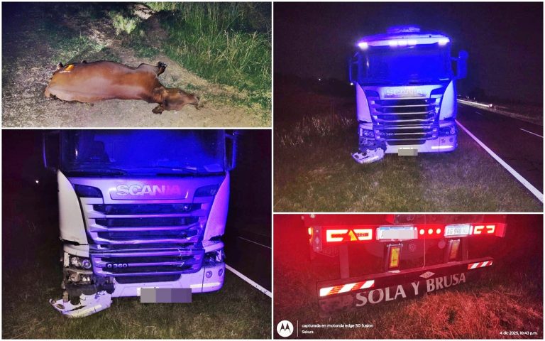 Siniestro vial en ruta nacional 35: un camión colisionó contra animales sueltos en cercanías de Ataliva Roca
