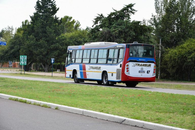 Boleto Universitario Gratuito asegurado: La Pampa apuesta por la educación y el transporte público