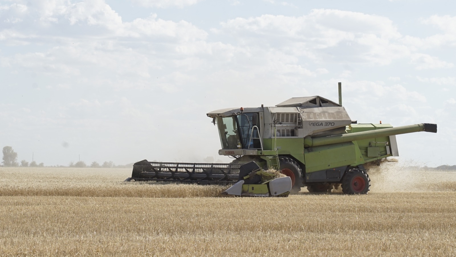 La Pampa logró una cosecha histórica de trigo y cebada con 952 mil toneladas