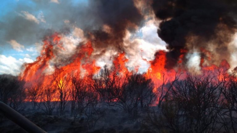 Defensa Civil de La Pampa alertó sobre un riesgo significativo de incendios rurales por la sequía y los vientos