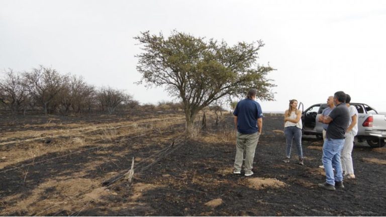 Incendios en el sur provincial: el Ministerio de la Producción recorrió las zonas afectadas y ofreció financiamiento