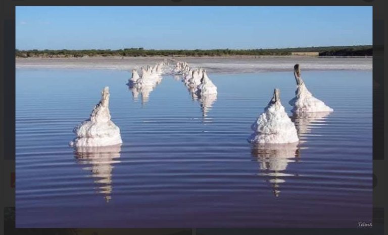 Verano en La Pampa: tres destinos con lagunas, termas y naturaleza para redescubrir la provincia