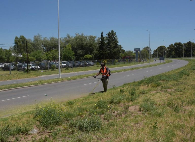 Limpieza en la Doble Vía Sur: “Buscamos que el lugar esté prolijo, seguro y accesible”, afirmó Adamo