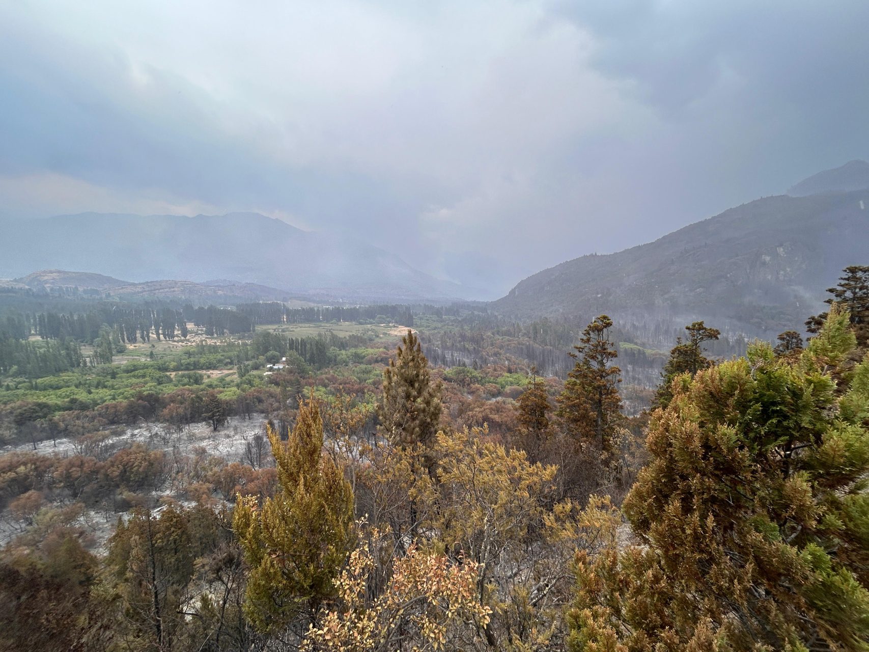Un piquense en el corazón del incendio en Chubut: “La lluvia dio una tregua, pero el fuego no está controlado”