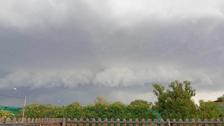 Lluvia en La Pampa: General Acha encabezó el ranking de precipitaciones con 45 milímetros