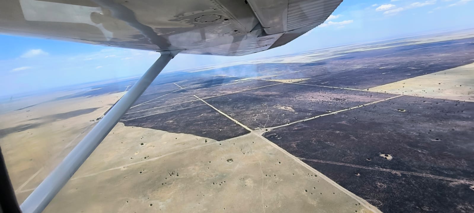 Alivio en La Pampa: las lluvias permitieron sofocar el incendio de La Pastoril y Defensa Civil confirmó que “no hay focos activos”
