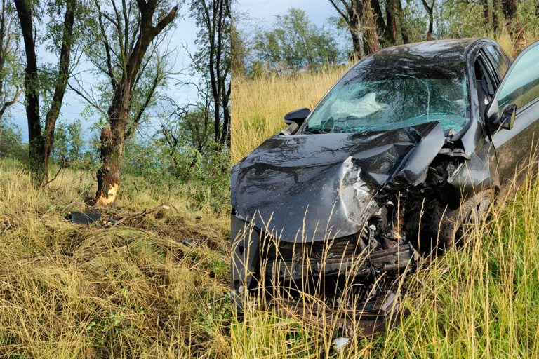 Una mujer de Lonquimay despistó y chocó contra un árbol en la ruta 5