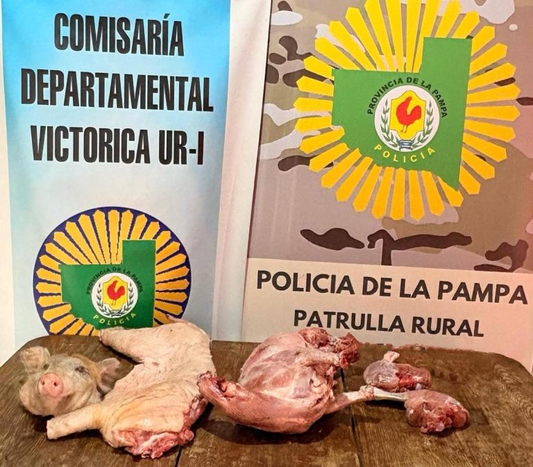 Rápido accionar policial en Victorica: esclarecen un caso de abigeato y recuperan animales faenados