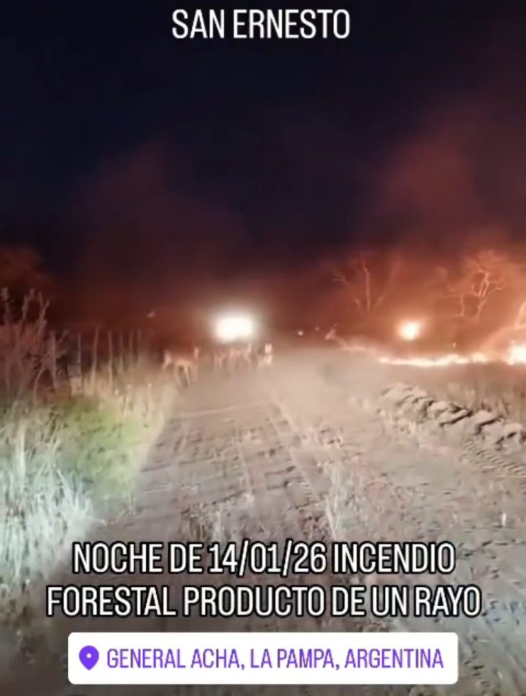 Un rayo desató un incendio cerca de General Acha: las conmovedoras imágenes de la fauna huyendo de las llamas