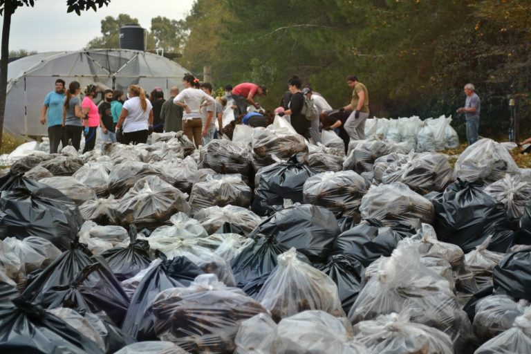 Renovaron el convenio por 6 meses con la fundación de General Pico “Cosecha Completa” por hasta 450 millones