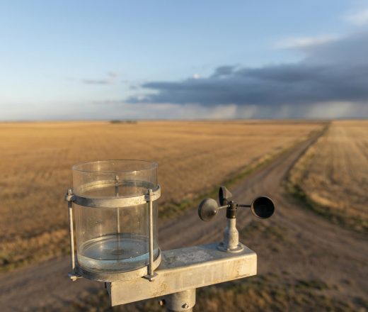 El INTA Anguil prevé precipitaciones de normales a inferiores a lo normal para el comienzo de febrero en La Pampa (Imagen ilustrativa IA - infopico.com)