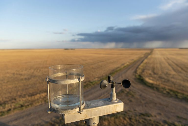 El INTA Anguil prevé precipitaciones de normales a inferiores a lo normal para el comienzo de febrero en La Pampa