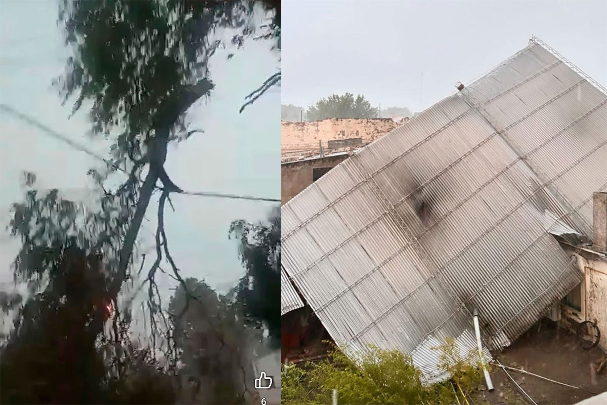 Alerta naranja en La Pampa: reportan daños por tormentas severas nuevamente en General Acha
