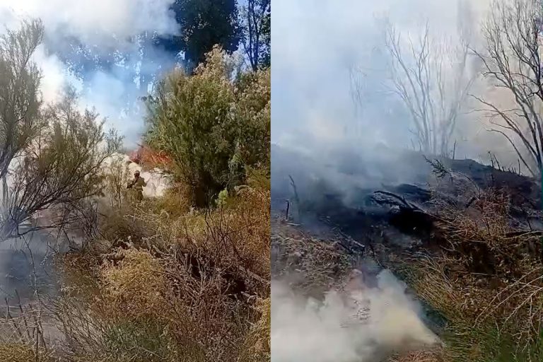 Dos detenidos por un voraz incendio que consumió 200 hectáreas cerca de 25 de Mayo